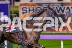 2026_PACEPIX_GP14072026_RACE7_ShesAllGo_WIN_WEB-4