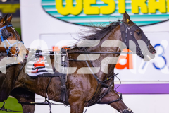 2026_PACEPIX_GP14072026_RACE7_ShesAllGo_WIN_WEB-5