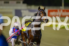 RACE 7 - Skip A Beat