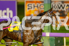 2025_PACEPIX_GP13062025_RACE7_SkipABeat_WIN_WEB-11