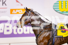 2025_PACEPIX_GP13062025_RACE7_SkipABeat_WIN_WEB-14
