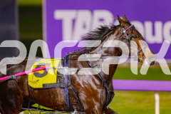 2025_PACEPIX_GP13062025_RACE7_SkipABeat_WIN_WEB-2