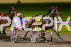 2025_PACEPIX_GP13062025_RACE7_SkipABeat_WIN_WEB-4