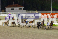 2025_PACEPIX_GP13062025_RACE7_SkipABeat_WIN_WEB-5