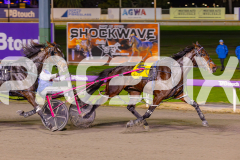 2025_PACEPIX_GP13062025_RACE7_SkipABeat_WIN_WEB-8