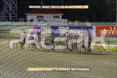 2026_PACEPIX_GP18092026_RACE7_SouthSideStory_WIN_WEB-1