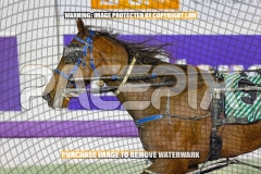 2026_PACEPIX_GP18092026_RACE7_SouthSideStory_WIN_WEB-17