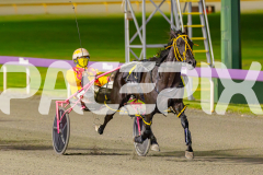 2025_PACEPIX_GP10062025_RACE7_SpiritedWhitby_WIN_WEB-12