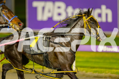2025_PACEPIX_GP10062025_RACE7_SpiritedWhitby_WIN_WEB-19