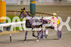 2025_PACEPIX_GP10062025_RACE7_SpiritedWhitby_WIN_WEB-20