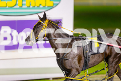 2025_PACEPIX_GP10062025_RACE7_SpiritedWhitby_WIN_WEB-21