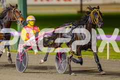 2025_PACEPIX_GP10062025_RACE7_SpiritedWhitby_WIN_WEB-3