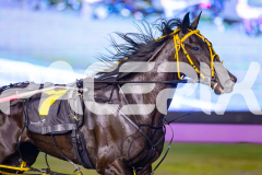2025_PACEPIX_GP10062025_RACE7_SpiritedWhitby_WIN_WEB-5