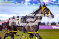 2025_PACEPIX_GP10062025_RACE7_SpiritedWhitby_WIN_WEB-8