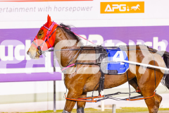 2025_PACEPIX_GP09092025_Race7_SpotOnMolly_WIN_WEB-14