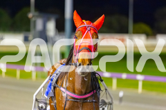2025_PACEPIX_GP09092025_Race7_SpotOnMolly_WIN_WEB-15