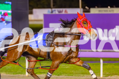 2025_PACEPIX_GP09092025_Race7_SpotOnMolly_WIN_WEB-5