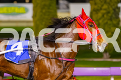 2025_PACEPIX_GP09092025_Race7_SpotOnMolly_WIN_WEB-6