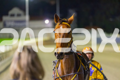 2025_Pacepix_GP26092025_Race7_StarCasino_WIN_WEB-22