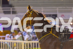 2025_Pacepix_GP26092025_Race7_StarCasino_WIN_WEB-25