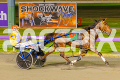 2025_PACEPIX_GP09052025_RACE7_StarCasino_WIN_WEB-4