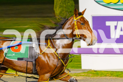2025_PACEPIX_GP09052025_RACE7_StarCasino_WIN_WEB-8