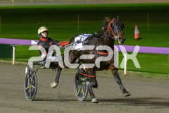 Stormy-Vista_26-06-2026_WIN_Gloucester-Park_7__03