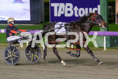 Stormy-Vista_26-06-2026_WIN_Gloucester-Park_7__04