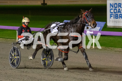 Stormy-Vista_26-06-2026_WIN_Gloucester-Park_7__08