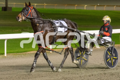 Stormy-Vista_26-06-2026_WIN_Gloucester-Park_7__10