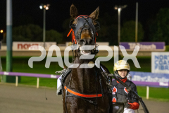 Stormy-Vista_26-06-2026_WIN_Gloucester-Park_7__11