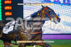 2026_Pacepix_GP31072026_Race7_StormyVista_WIN_WEB-13