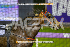 2026_Pacepix_GP31072026_Race7_StormyVista_WIN_WEB-21