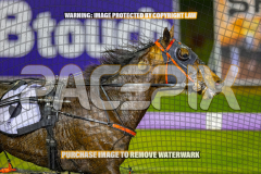 2026_Pacepix_GP31072026_Race7_StormyVista_WIN_WEB-22