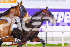 2026_PACEPIX_GP12062026_RACE7_StormyVista_WIN_WEB-12