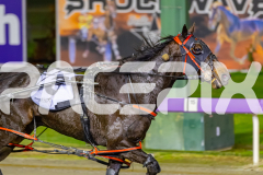 2026_PACEPIX_GP12062026_RACE7_StormyVista_WIN_WEB-23