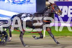2026_PACEPIX_GP12062026_RACE7_StormyVista_WIN_WEB-8