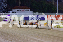 2025_PACEPIX_GP19122025_RACE7_SweetCoco_WIN_WEB-1