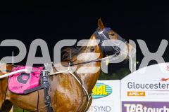 2025_PACEPIX_GP19122025_RACE7_SweetCoco_WIN_WEB-10