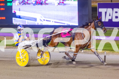 2025_PACEPIX_GP19122025_RACE7_SweetCoco_WIN_WEB-4