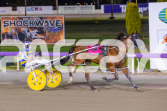 2025_PACEPIX_GP19122025_RACE7_SweetCoco_WIN_WEB-5