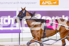 2025_PACEPIX_GP19122025_RACE7_SweetCoco_WIN_WEB-8