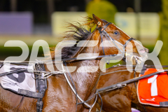 2025_PACEPIX_GP20052025_Race7_SweetDuncan_WIN_WEB-7