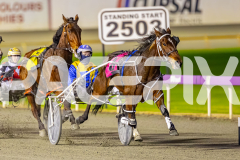 RACE 7 - Sweet Pins