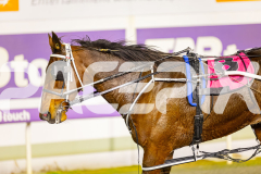 2025_PACEPIX_GP25072025_Race7_SweetPins_WIN_WEB-12