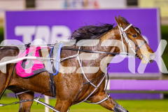 2025_PACEPIX_GP25072025_Race7_SweetPins_WIN_WEB-4