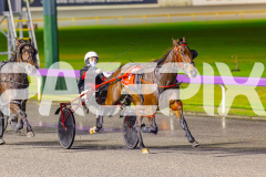2025_PACEPIX_GP17062025_Race7_Synchroniser_WIN_WEB-8