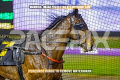 2026_PACEPIX_GP09102026_RACE7_TheBeaudster_WIN_WEB-10