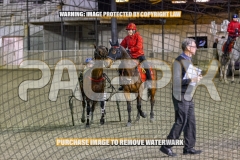 2026_PACEPIX_GP09102026_RACE7_TheBeaudster_WIN_WEB-12