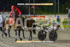 2026_PACEPIX_GP09102026_RACE7_TheBeaudster_WIN_WEB-15